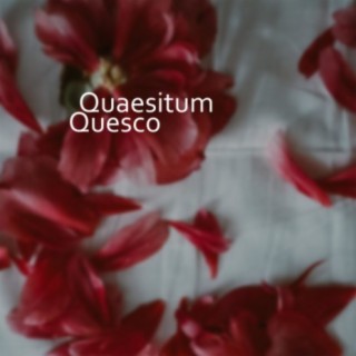 Quaesitum