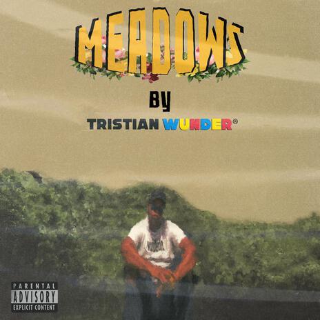 MEADOWS FREESTYLE | Boomplay Music