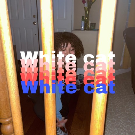 White Cat | Boomplay Music