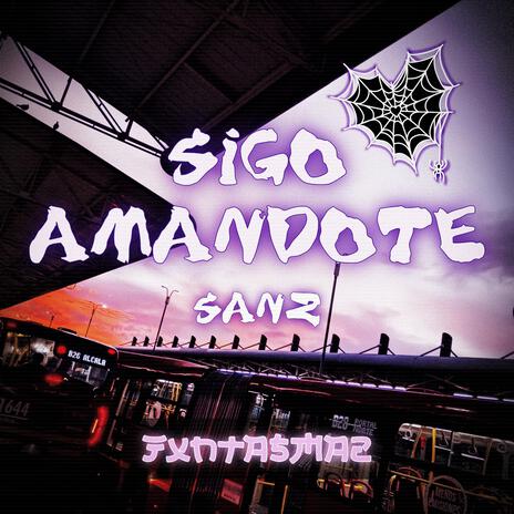 Sigo Amandote | Boomplay Music