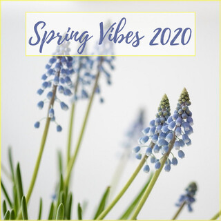 Spring Vibes 2020