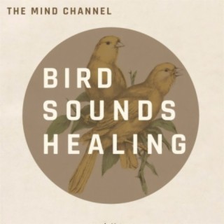 Bird Sounds Healing