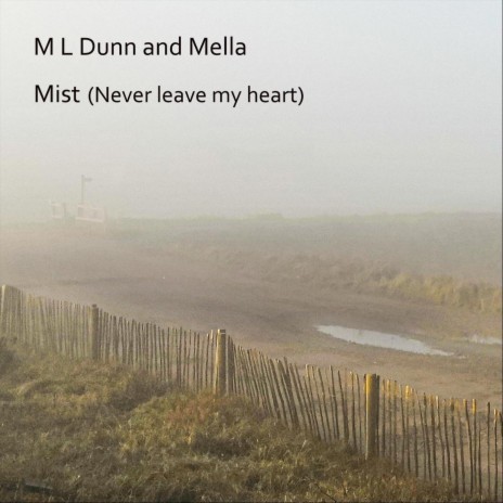 Mist (Never Leave My Heart) ft. Mella | Boomplay Music