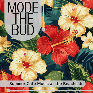 Summer Cafe Music at the Beachside