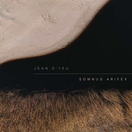 Somnus Arifex | Boomplay Music