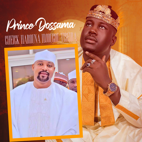 Cheick Harouna Idjougou Tiseira | Boomplay Music