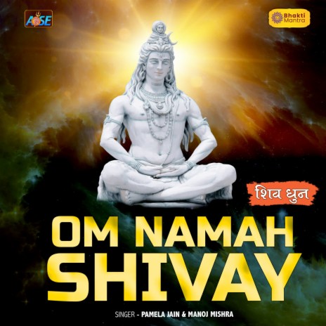 Om Namah Shivay ft. Manoj Mishra | Boomplay Music