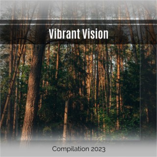 Vibrant Vision