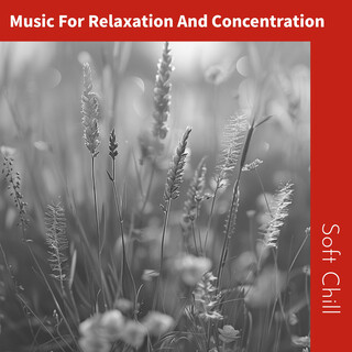 Music For Relaxation And Concentration