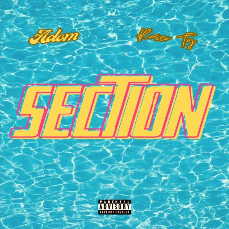 Section ft. Rosco TY | Boomplay Music