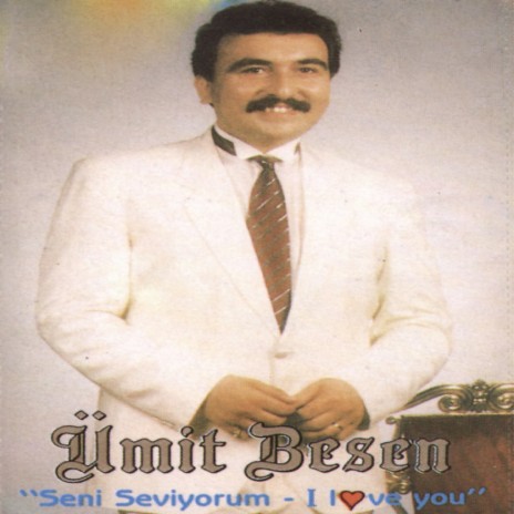 Bir Gecelik Sevgili | Boomplay Music