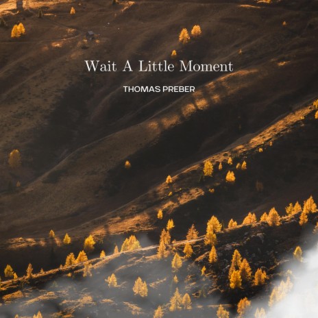 Wait A Little Moment | Boomplay Music