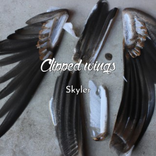 Clipped wings