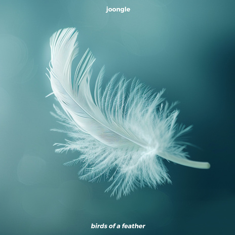 Birds Of A Feather | Boomplay Music