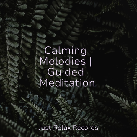 Synchronicity Symphonies ft. Meditation Awareness & Relaxing Mindfulness Meditation Relaxation Maestro | Boomplay Music