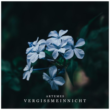 Vergissmeinnicht | Boomplay Music