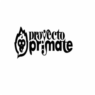 Proyecto Primate