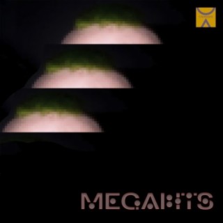 Megabits (Lost Cargo Set)