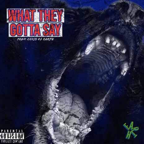 What They Gotta Say | Boomplay Music