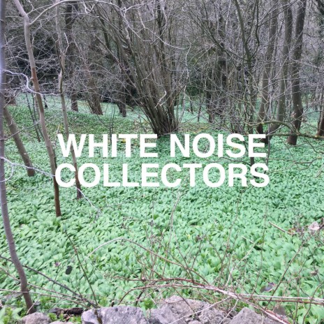 White Noise Extractor Fan