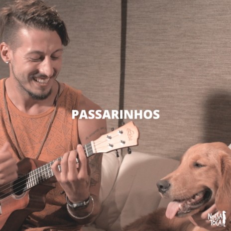 Passarinhos (feat. Fabio Augusto, Allan Furtado & Giba Moojen) | Boomplay Music