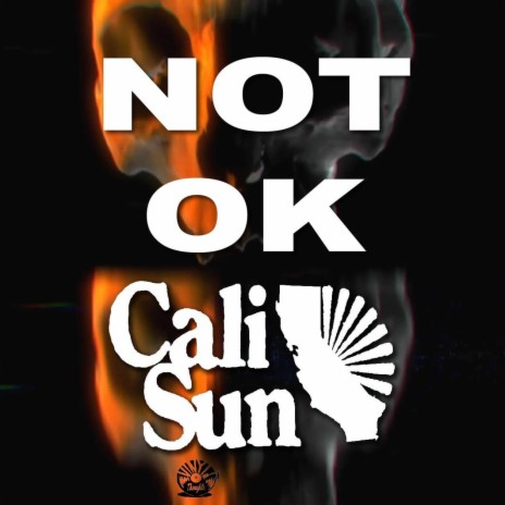 Not Ok | Boomplay Music