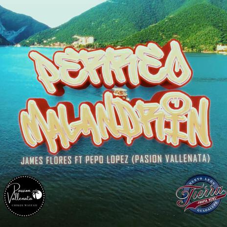 PERREO MALANDRIN Pepo Lopez y El James -Pasion Vallenata- | Boomplay Music