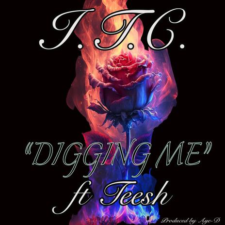 Digging Me ft. Teesh | Boomplay Music