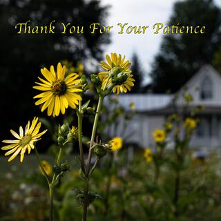 Thank You For Your Patience lyrics | Boomplay Music