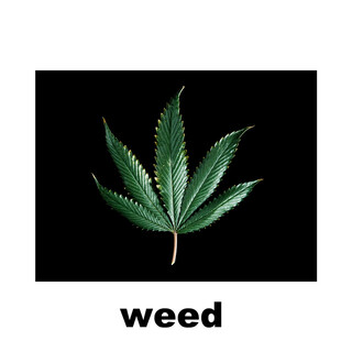 Weed