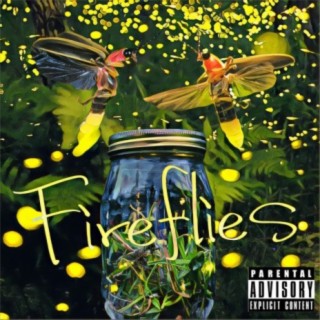 FIREFLIES