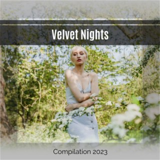 Velvet Nights