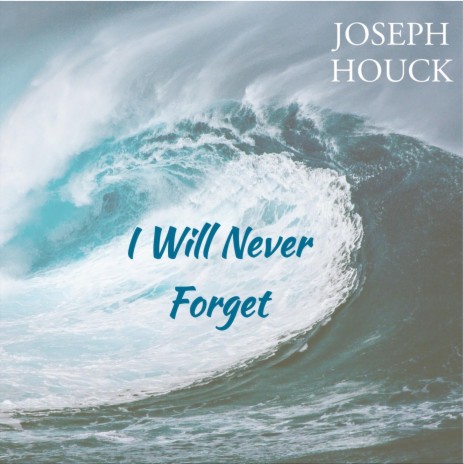 I Will Never Forget | Boomplay Music