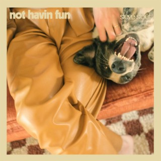 Not Havin Fun (demo)