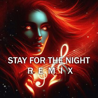 Stay For The Night (Remix)