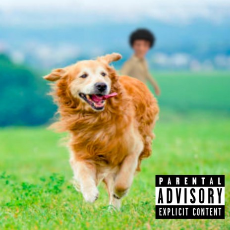 Dog Walk | Boomplay Music