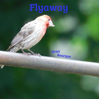 Flyaway