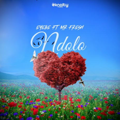 Ndolo ft. Mr Fresh | Boomplay Music