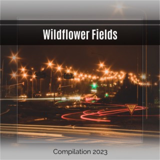 Wildflower Fields