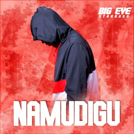 Namudigu | Boomplay Music