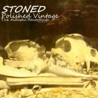 Polished Vintage, The Acoustic Recordings: Vol. One