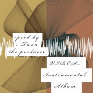 Vibes instrumental album