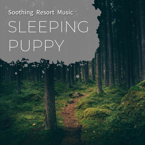 Music Relaxation | Boomplay Music