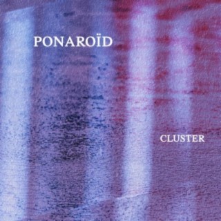 Cluster