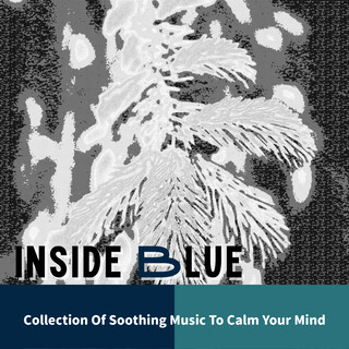 Collection Of Soothing Music To Calm Your Mind