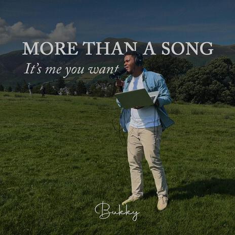 More Than A Song (It's Me You Want) | Boomplay Music