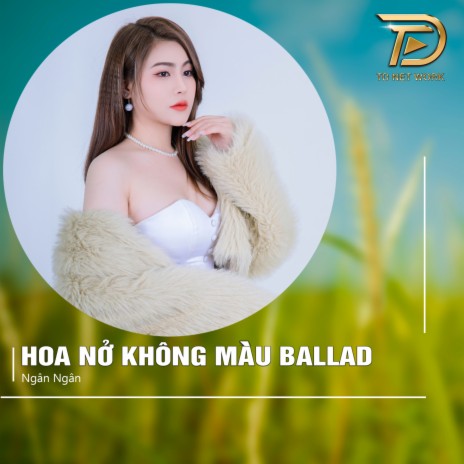 Hoa Nở Không Màu (Ballad) | Boomplay Music