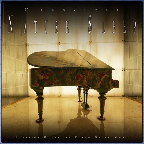 Andante con Moto - Mendelssohn - Classical Guitar ft. Classical Sleep Music & Easy Listening Background Music