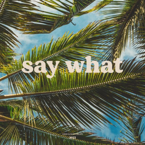 say what ft. Hoffy Beats