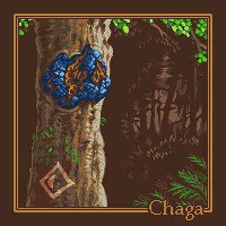 Chaga